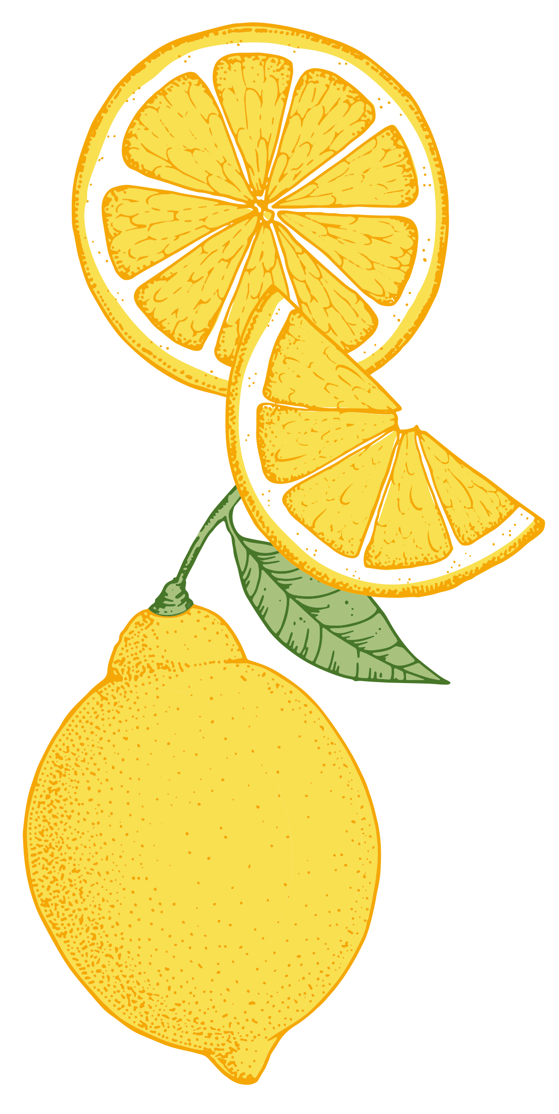 lemon illustration