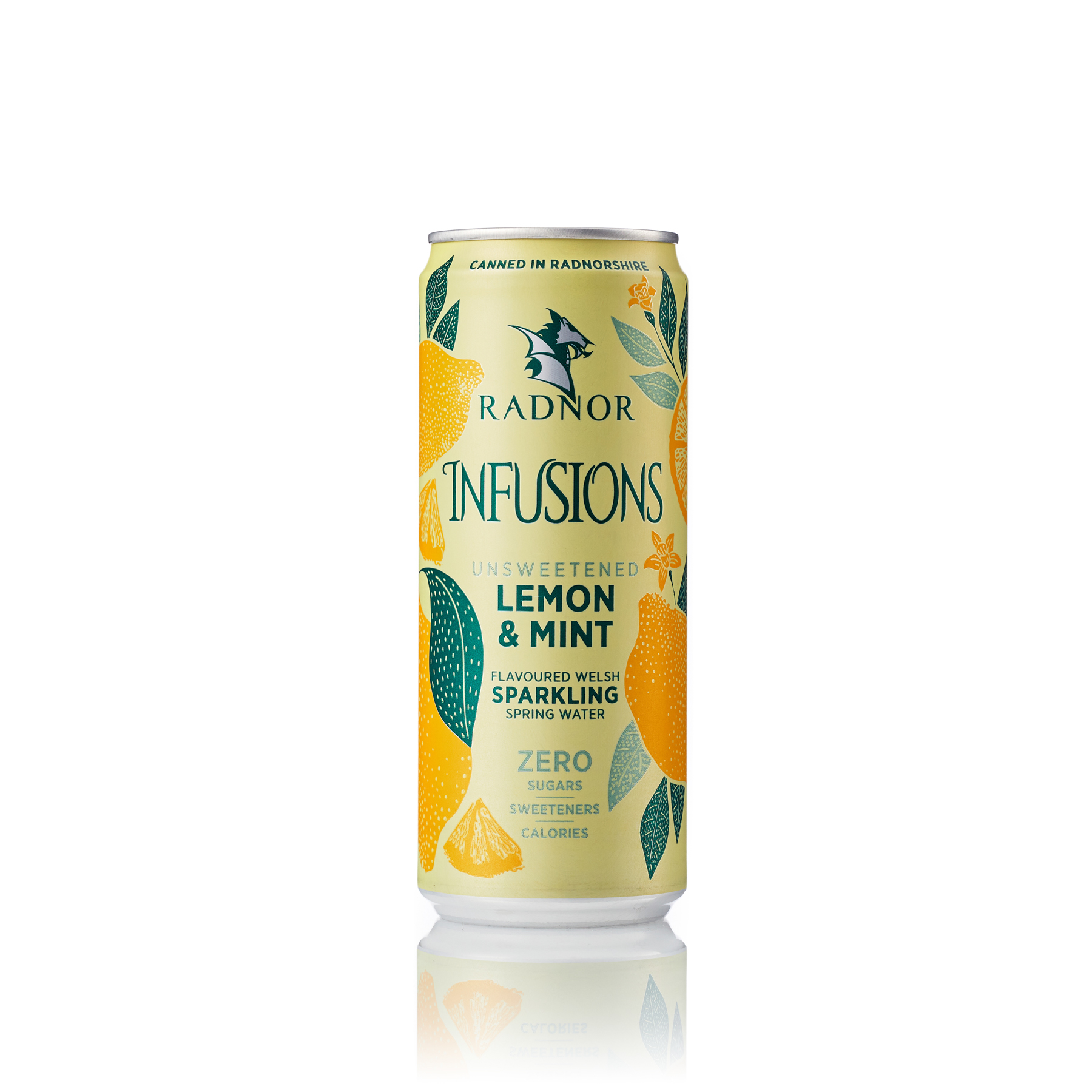 Splash Sparkling Lemon and Lime Buy Online from Radnor Hills