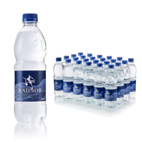 Still Bottle Plain Cap 500ml